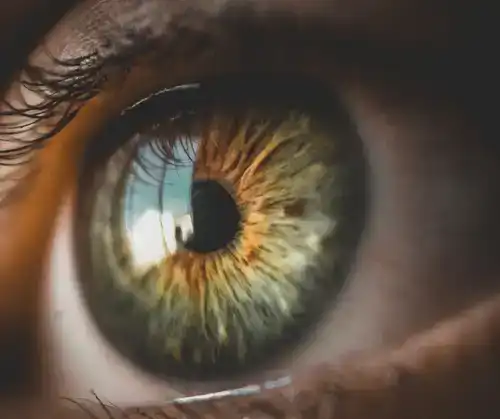 The Importance of An Eye Examination hero image